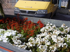 DSCN0935.JPG